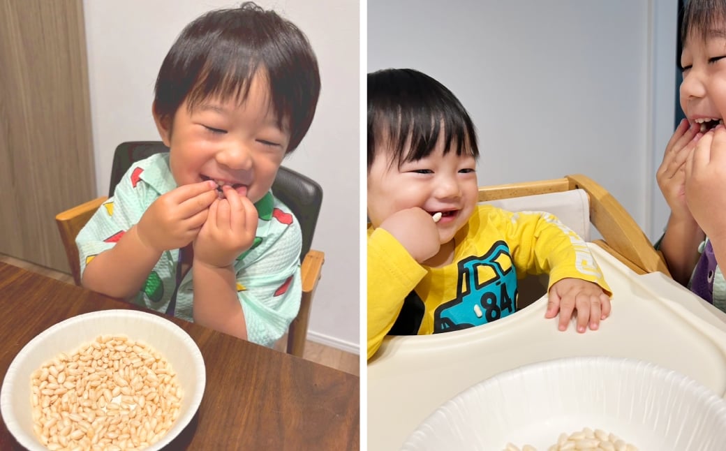 おこめのおやつ 10袋セット