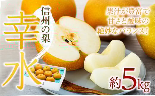 梨 幸水 5kg 2025年秋! 信州の梨 シャリっとしてみずみずしい梨 果物 くだもの フルーツ 旬の果物 旬のフルーツ 信州 長野 長野県 　[№5675-1372]