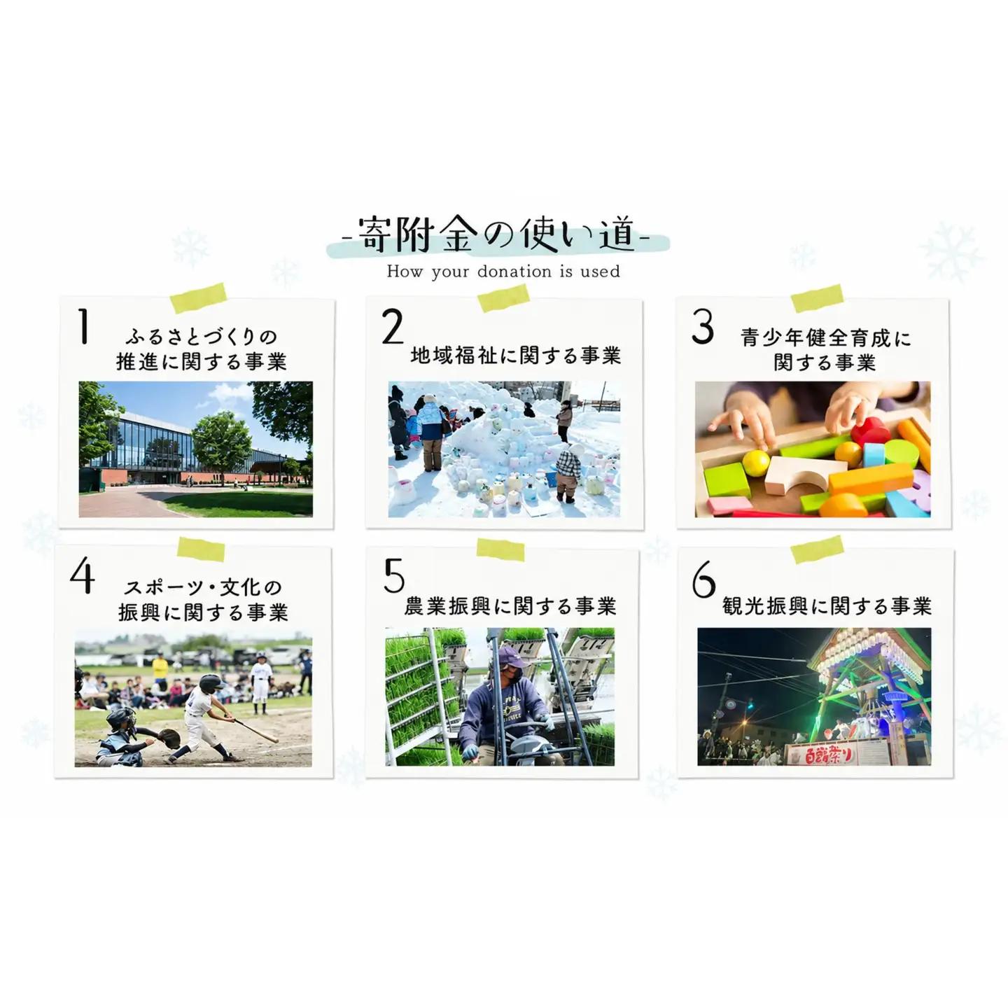 北海道岩見沢市産 紫玉ねぎ20個【09107】