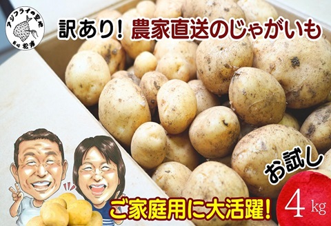 訳あり！農家直送のじゃがいも お試し4kg( 訳あり じゃが じゃがいも いも 肉じゃが サラダ フライドポテト 揚げ物 カレー シチュー 煮物 お試し )【A6-020】