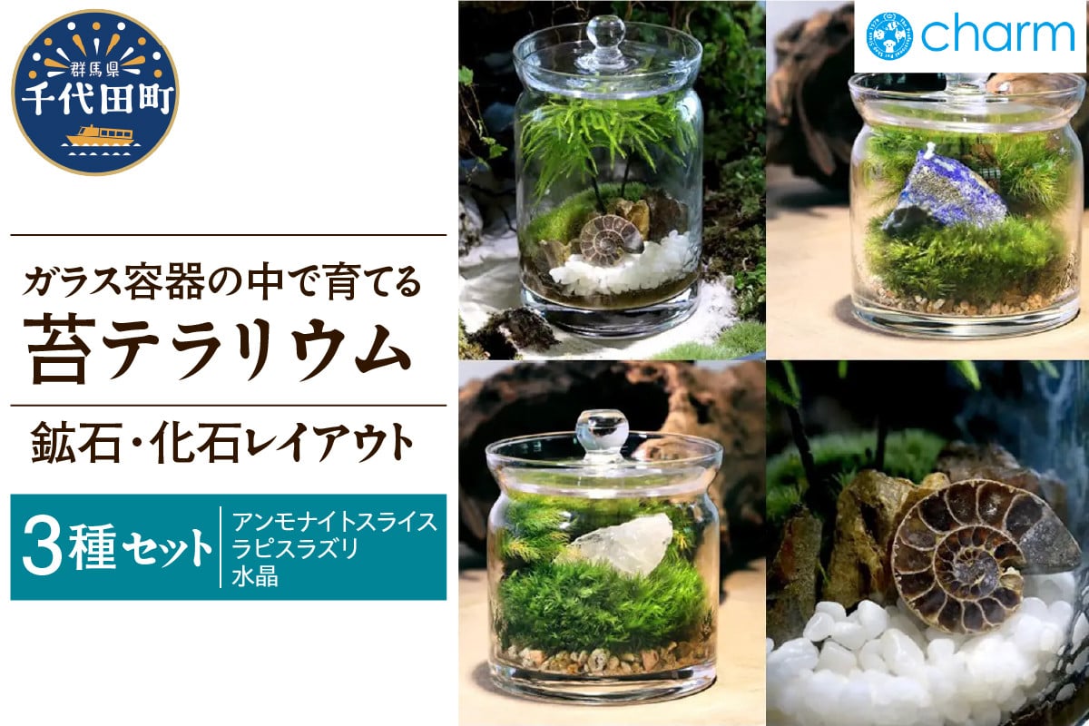 
            苔テラリウム 鉱石 化石 レイアウト 3種セット アンモナイトスライス ラピスラズリ 水晶 群馬県千代田町 インテリア ナチュラル かわいい 癒し 植物 リラクゼーション 室内栽培 プレゼント ギフト 贈答用 送料無料 趣味 人気 オススメ 初心者 玄関 リビング キッチン 株式会社チャーム
          
