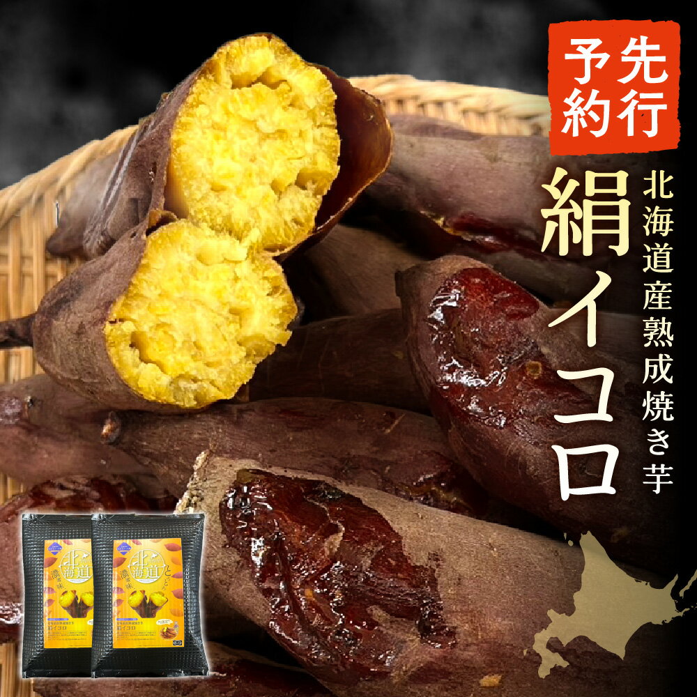 【ふるさと納税】 【先行予約】北海道産 シルクスイート 500g 2袋 計1kg 絹イコロ 焼き芋 熟成 さつまいも サツマイモ 熟成 濃厚 蜜 甘み 北海道 札幌市