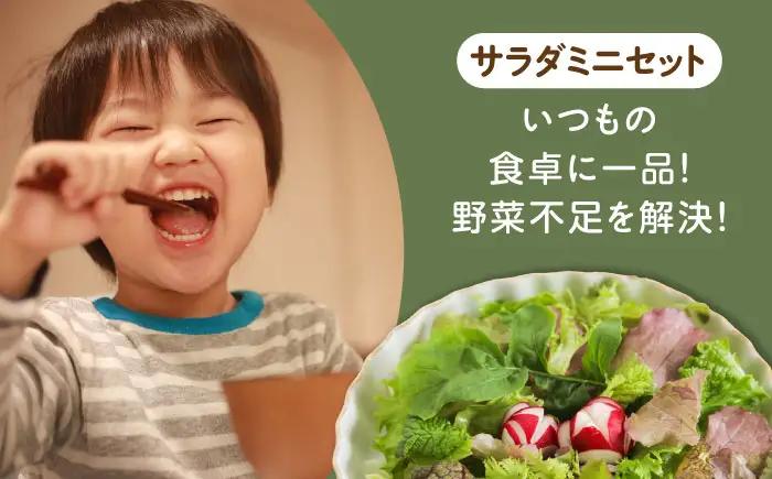 オーガニック葉物野菜セット 7種×2パック 有機JAS / 佐賀県 / 株式会社サガンベジ [41ANCH002]