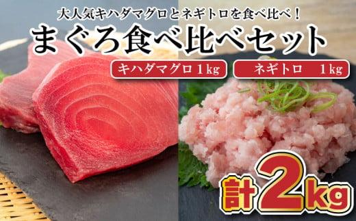 まぐろ 食べ比べ (赤身 ネギトロ) 小分け 真空パック 冷凍 マグロ 鮪 マグロのたたき TY030