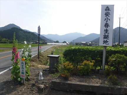 姫黒文字 3点セット ひめくろもじ クロモジ 里山 アロマ 香り エッセンシャルオイル 天然 自然派 癒し リラックス インテリア 贈答 記念品 お取り寄せ 兵庫県 丹波市