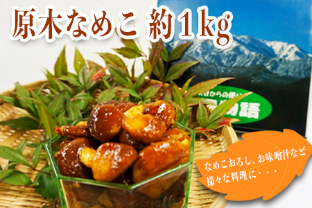 【2025年発送】原木なめこ約1kg_H088(R7)