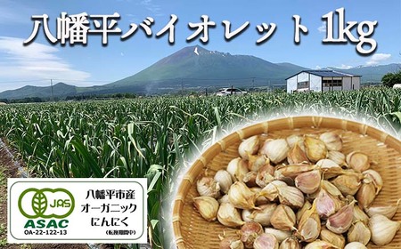 オーガニックにんにく 八幡平バイオレット 1000g（バラ） ／ すばるファーム ニンニク 大蒜 野菜 産地直送