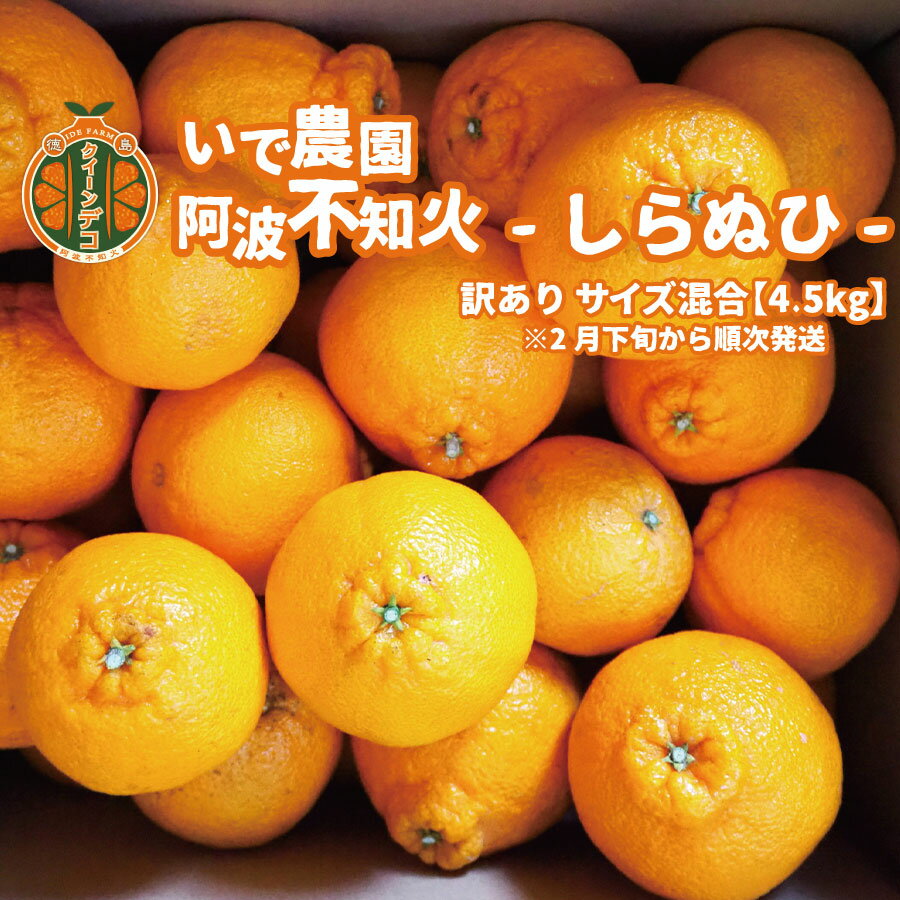 【ふるさと納税】井出農園 訳あり 阿波不知火 サイズ混合 4.5kg