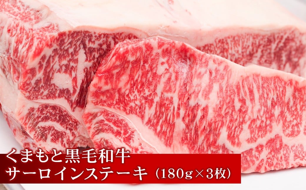 【3回定期便】馬刺＆くまもと黒毛和牛の「福袋」定期便