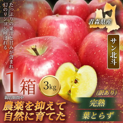 【ふるさと納税】【青森直送 季節の味覚をお届け!】サン北斗(幻のサン北斗)3kg×1箱(訳あり)青森産 産地直送【配送不可地域：離島】【1789901】