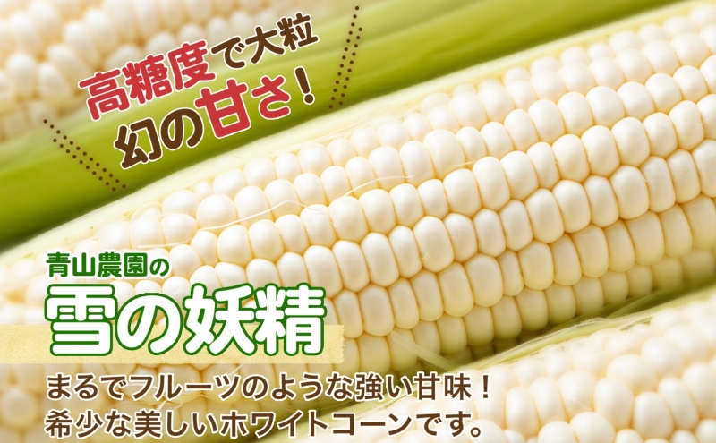 北海道 洞爺湖町 月浦 雪の妖精 5kg 先行受付 8月下旬～9月中旬頃にお届け とうもろこしトウモロコシ とうきび スイート コーン 旬 野菜 甘い 大粒 人気 朝採り 産地直送 青山農園 送料無料