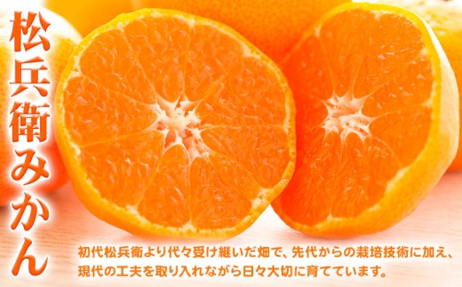 【2回定期便】主井農園の高級松兵衛みかん 2.5kg×2回 S～2Lサイズ(サイズおまかせ)《11月中旬-1月上旬頃出荷》主井農園 和歌山 和歌山みかん みかん ミカン 蜜柑 柑橘 果物 フルーツ