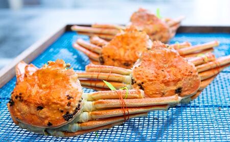 茹で松葉蟹 最大級1杯（1,400g級）〈入荷あり次第配送〉 蟹 カニ かに 松葉蟹 松葉ガニ ズワイガニ ボイル