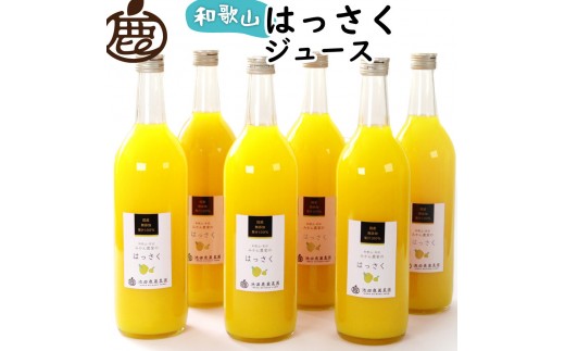 無添加はっさくジュース 約720ml×6本［IKE265］