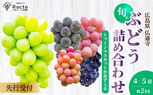 【先行受付】厳選！旬のぶどう詰め合わせ約2kg（4～5房） 2026年9月上旬から順次発送 種なし シャインマスカット 品種 農園おまかせ ピオーネ BKシードレス 安芸クイーン クイーンニーナ スカーレット マスカサーティーン お楽しみ 人気 葡萄 贈答 お中元 プレゼント 厳選 フルーツ 205002