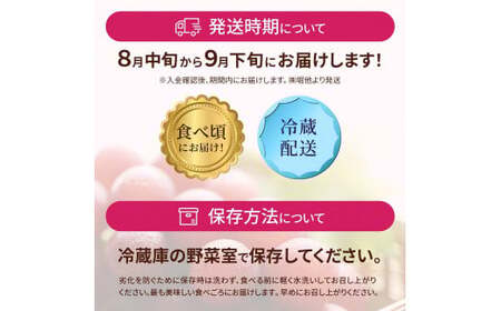 【先行予約 2026年収穫分】ルビーロマン 1房 約350g（お試しサイズ）【2026年8月中旬より順次発送】｜ ぶどう 