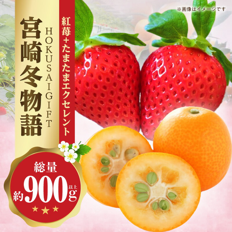 【ふるさと納税】《2026年発送》【数量・期間限定】宮崎冬物語HOKUSAIGIFT紅苺・たまたま 完熟赤いちご 赤いちご いちご 完熟いちご 完熟 おおきみ きんかん たまたまエクセレント フルーツ 果物 デザート 化粧箱入り 化粧箱 宮崎県 宮崎市 送料無料