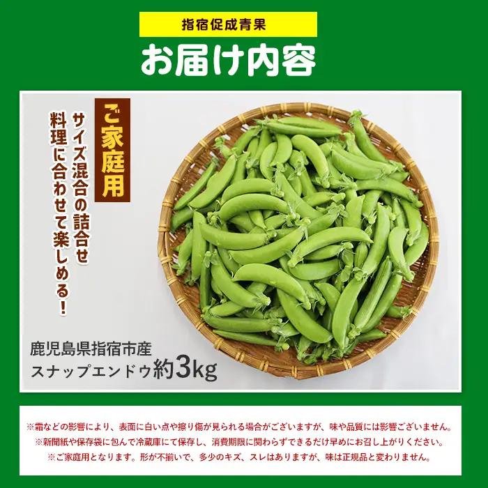 2027年2月上旬以降発送 ご家庭用スナップエンドウ約3kg IB092-004