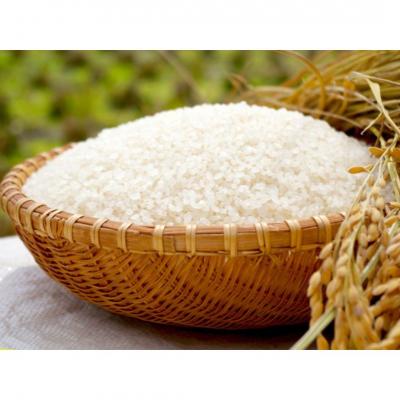 ふるさと納税 三条市 特別栽培米ミルキークイーン 5分搗き 10kg 佐藤農産有機センター 018S020 |  | 02