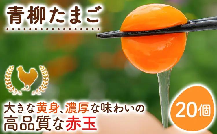 卵  青柳たまご 20個  卵 