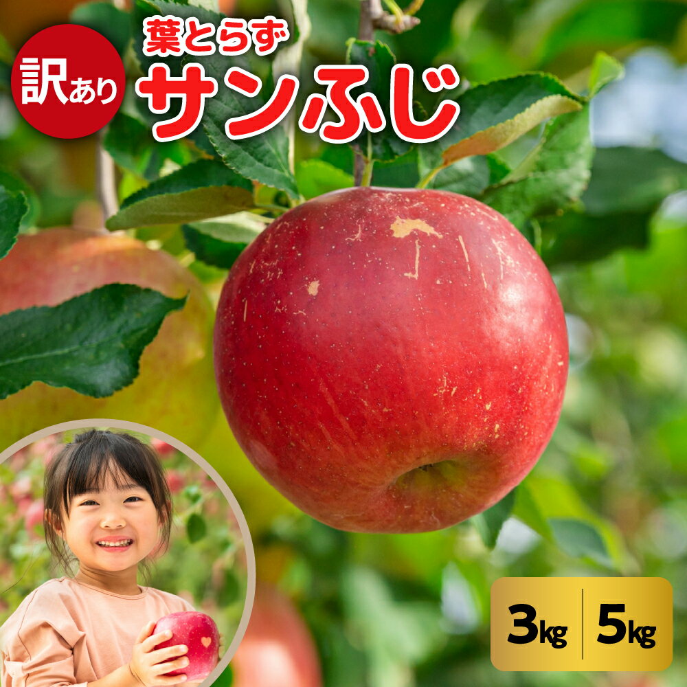 【ふるさと納税】【 訳あり 】 葉とらずりんご サンふじ ( 内容量が選べる 3kg / 5kg ) ( 配送時期が選べる 11月 12月 ) / 青森産 りんご 傷 サンふじりんご リンゴ ジュース お菓子作り くだもの フルーツ 果物 林檎 送料無料 ワケアリ 青森県 五所川原市