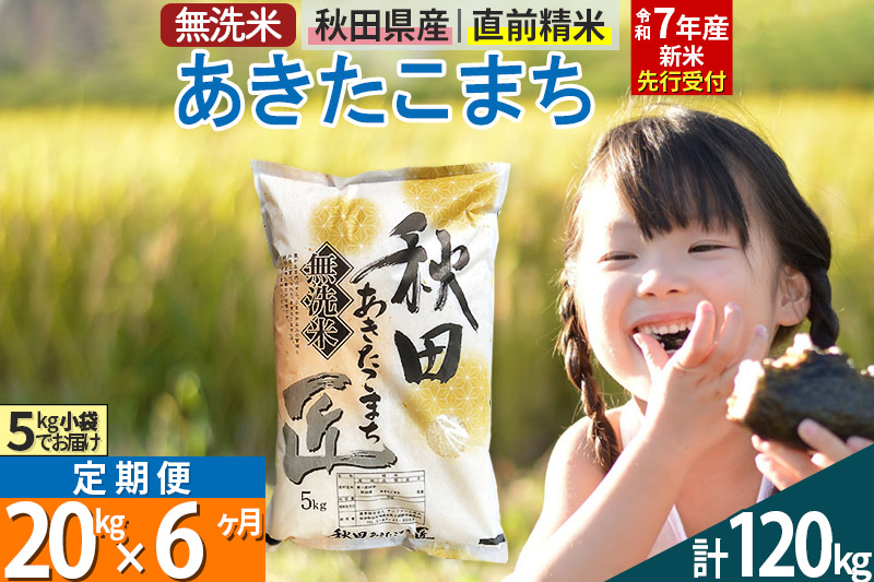 【無洗米】＜令和7年産 新米予約＞《定期便6ヶ月》秋田県産 あきたこまち 20kg (5kg×4袋) ×6回 20キロ お米  新米