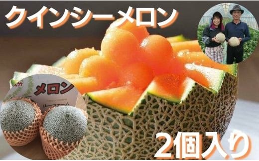 メロン めろん クインシーメロン 2個（大玉3kg以上） 山一ファーム おすすめ 人気 国産 赤 茨城 鉾田 フルーツ 旬 プレゼント 贈り物 甘い ヘルシースイーツ 産地直送 農業王国 赤肉 4月下旬～2026年6月中旬発送 送料無料