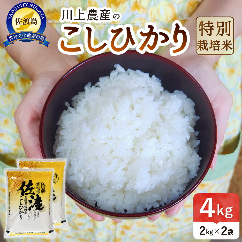 【ふるさと納税】令和7年産 佐渡 川上農産のコシヒカリ （2kg×2） | お米 こめ 白米 食品 人気 おすすめ