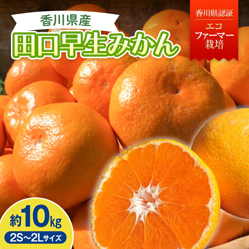 【ふるさと納税】2026年秋よりお届け　田口早生みかん　約10kg 果物類 柑橘類 フルーツ FAH-0187