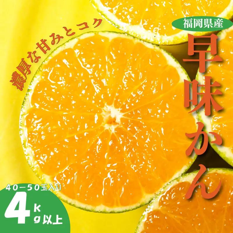 福岡県産 早味かん M・Sサイズ 約4kg以上(40玉-50玉入り)｜みかん 早味かん KBY