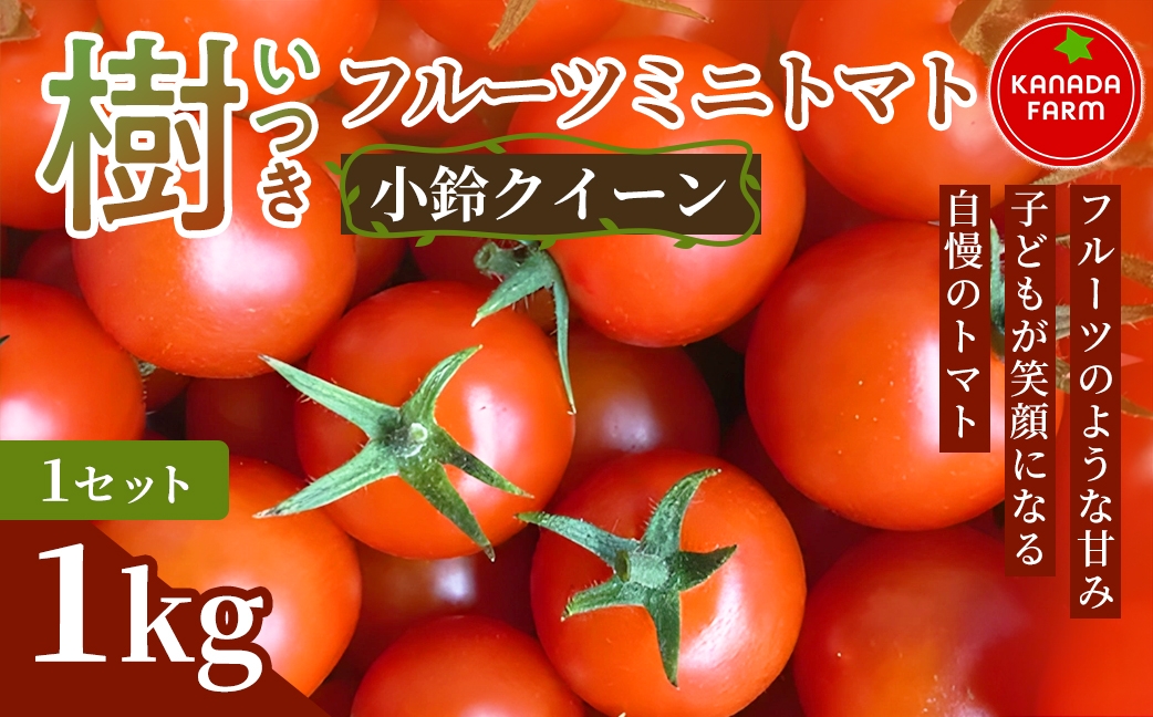 
                  《先行予約》樹（いつき）フルーツミニトマト（小鈴クイーン）1kg 1セット 3セット 定期便 甘い野菜 デザート感覚 おやつ スイーツ感覚 サラダ用 そのまま食べる 旬 家庭用 贈り物 日々の食卓 お取り寄せ 産地直送 愛知県 豊橋市
                