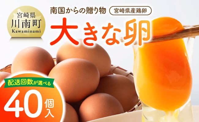 
                  ※回数が選べる※ 宮崎県産鶏卵　「南国からの贈り物」大きな卵40個入り（35個+破損補償5個） 【たまご 卵 玉子 タマゴ 料理 鶏卵 オムレツ オムライス 卵かけご飯 たまご焼き 国産 すき焼き おいしい卵 黄身 新鮮 生卵 産みたて 鮮度 弾力 ハリ ツヤ 生 人気 毎日 自然】
                