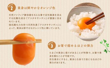 【食べチョクアワード2025 畜産部門 1位の日本一のたまご】単なる平飼いではない究極の卵『わたしたちのぷらいどたまご』6パック（60個）セット