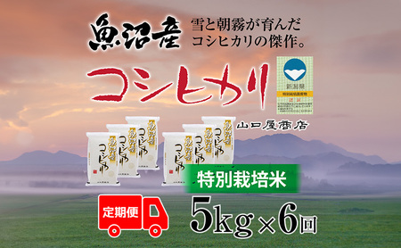 定期便 全6回 特別栽培米 魚沼産コシヒカリ 5kg お米 コメ 
