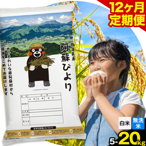 【12ヶ月定期便】阿蘇びより 選べる 白米 無洗米 5kg 10kg 15kg 20kg 《お申込み月の翌月から出荷開始》｜訳あり 国産米 人気米 熊本県産米 お米 生活応援米