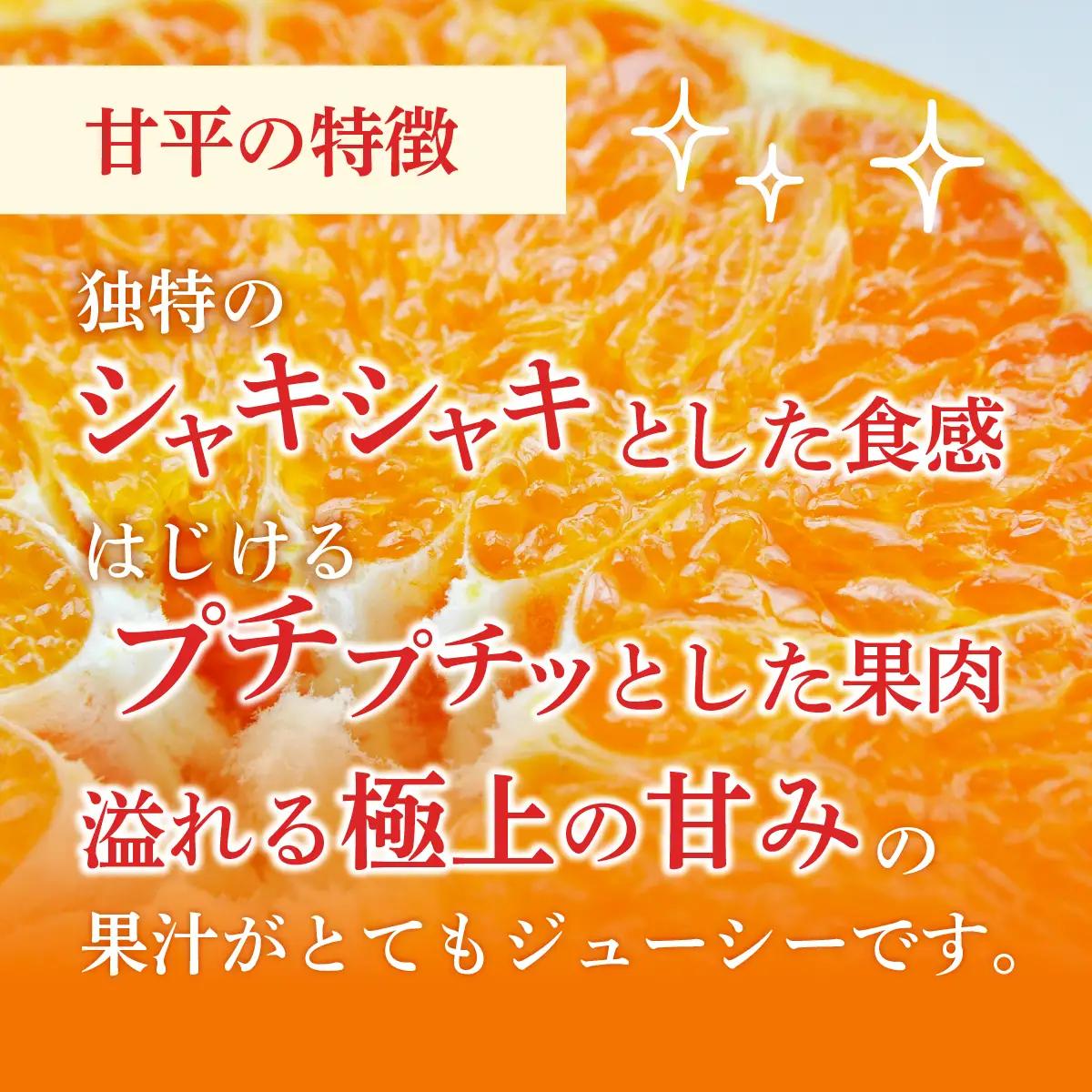 みかん ＜先行受付＞ 甘平 かんぺい レギュラー箱 5kg 愛媛