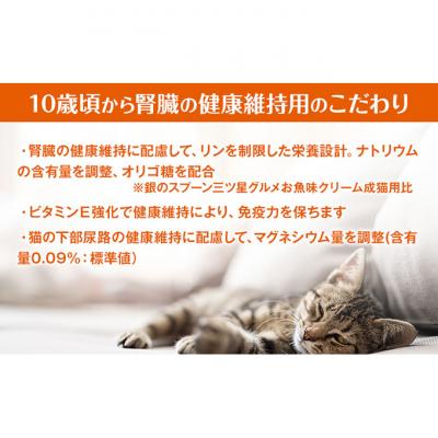 ふるさと納税 伊丹市 銀のスプーン三ツ星グルメ お魚クリーム 10歳頃から 鮪・かつお味 猫のご飯[54030345] |  | 02