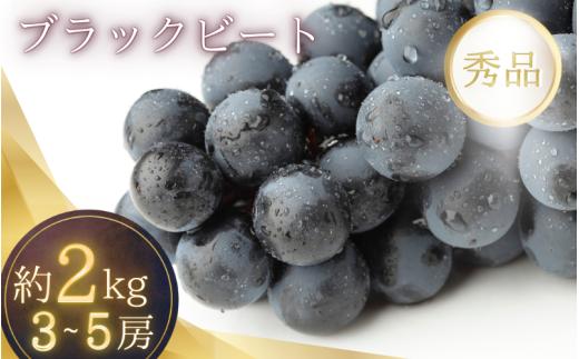 2kg箱入り（3~5房）種無し ブラックビート（ブドウ・ぶどう）【2026年7月下旬～8月下旬順次発送（限定数量）】/ ぶどう ブラックビート たねなし 甘い ジューシー 和歌山県 かつらぎ町 アートフルーツ農園