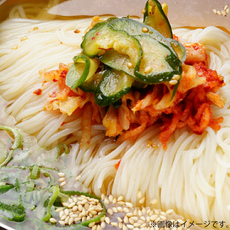 冷麺 りんご苑の冷麺 スープ 付 10食 入り | ふるさと納税 冷麺 5500円 自家製 生麺 ラーメン キムチ スープ 時短 3分 簡単 手軽 冷凍 2024 数量限定 5500 ふるさと 人気 送料無料