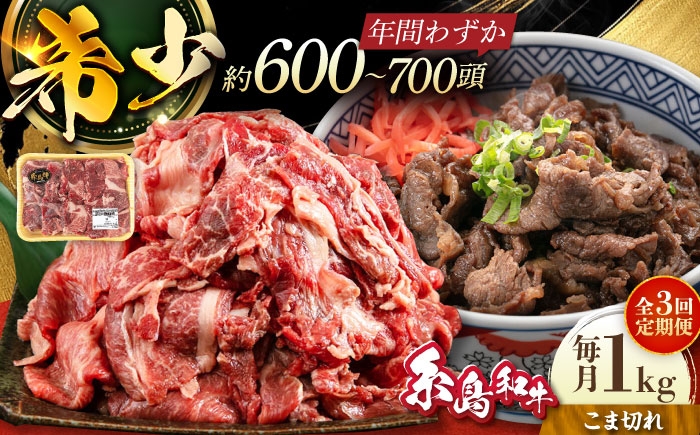 
                  【全3回定期便】【月限定10個】希少 糸島 和牛 こまぎれ 1kg 糸島 / トラヤミートセンター [AJD011]
                