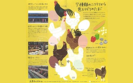 卵 定期便 3ヶ月 産みたて 赤たまご60個（Mサイズ）