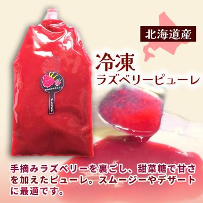 ふるさと納税 帯広市 【北海道十勝産 贅沢ピューレ】冷凍ラズベリーピューレ 5kg(500g×10袋) |  | 01