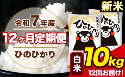 新米 令和7年産 【12ヶ月定期便】ひのひかり 白米 10kg 5kg×2袋 計12回お届け 熊本県産 こめ コメ 白米 精米 荒尾市 ひの 米 定期 《1月から出荷開始》