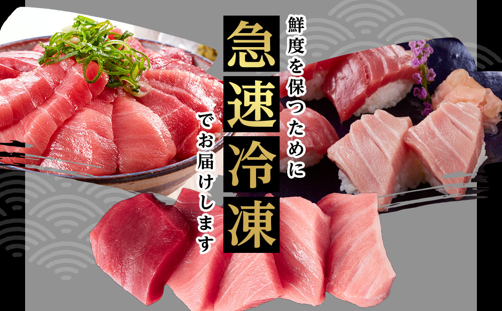 【12月末まで限定寄付額】【年内発送可】本マグロ トロ+赤身セット 500g | 【年末年始お届け可能】大トロ 中トロ 鮪 刺身 寿司 お正月