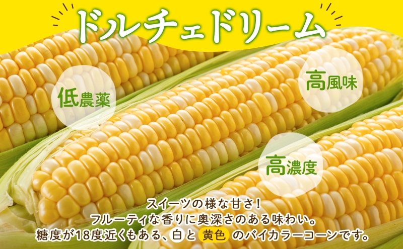 とうもろこし ドルチェドリーム 300g以上×6本 約1.8kg コーン もろこし バイカラー 白 黄 低農薬 高糖度 18度 甘い ジューシー 野菜 おやつ 旬 産地直送 送料無料 美濃グリーン 岐