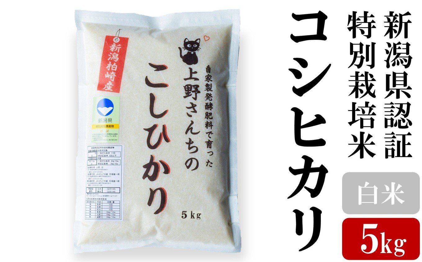 
                  【令和7年産米】上野さんちのコシヒカリ 白米 5kg 新潟県認証特別栽培米 [Y0405]
                