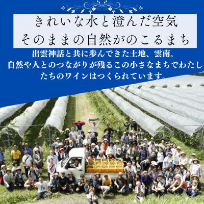 ふるさと納税 雲南市 杜のワイン白 750ml×3本 辛口ワイン 白ワイン3本セット |  | 01
