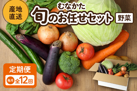 【毎月お届け】むなかた旬のお任せセット 野菜7～9品 _HB0173 | 野菜セット 定期便