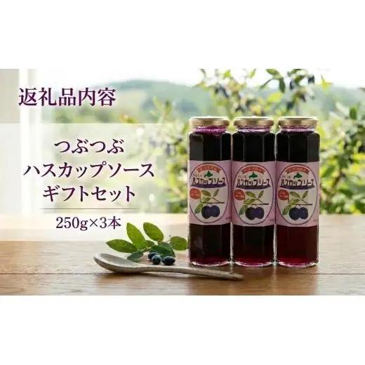 ＜のし付き＞＜北の大地の恵み＞つぶつぶハスカップソース　ギフトセット　250g×3本