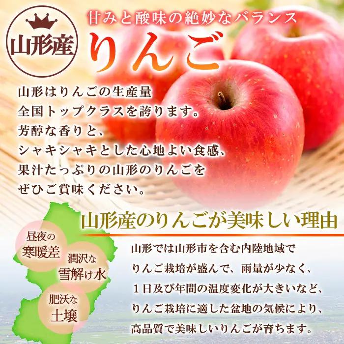 山形のサンふじりんご 秀品 約5kg(10～25玉)【令和8年産先行予約】FS25-788